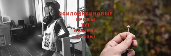 бошки Покров