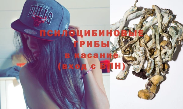 мескалин Покачи
