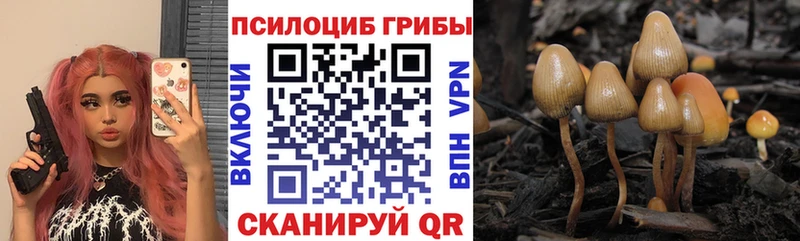 darknet формула  Шали  kraken зеркало  Галлюциногенные грибы мухоморы  дарнет шоп 