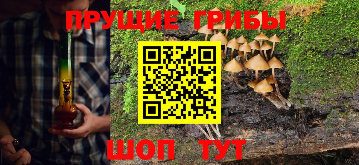 МЕФ Шали